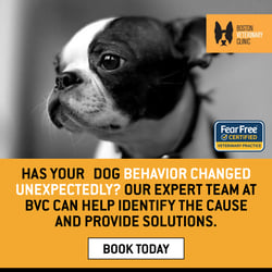 BVC - Complete Pet Care Variation A - Single Image - December 2024 - Variation B - 1200x1200
