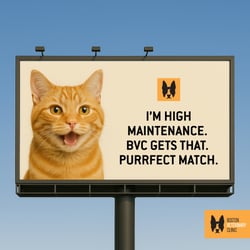 BVC - Dog Billboard Variation A - April 2025 - 1200x1200-1
