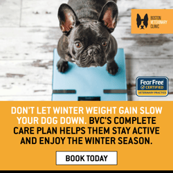 BVC - Dog Weight Management Variation B - Single Image - January 2025 - 1200x1200
