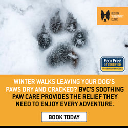 BVC - Paw Care Variation B - Single Image -January 2025 - 1200x1200