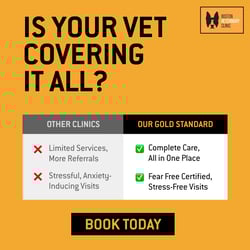 BVC - Pet Complete Care - February 2025 - 1200x1200