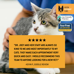 BVC - Testimonial Single Image- 1200x1200