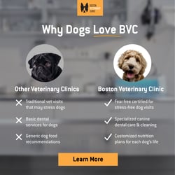 BVC - WhyBVC - 1200x1200