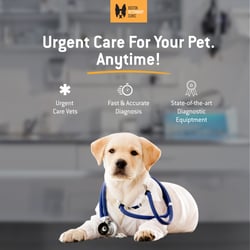 BVC-Urgent Care Dog-1200x1200