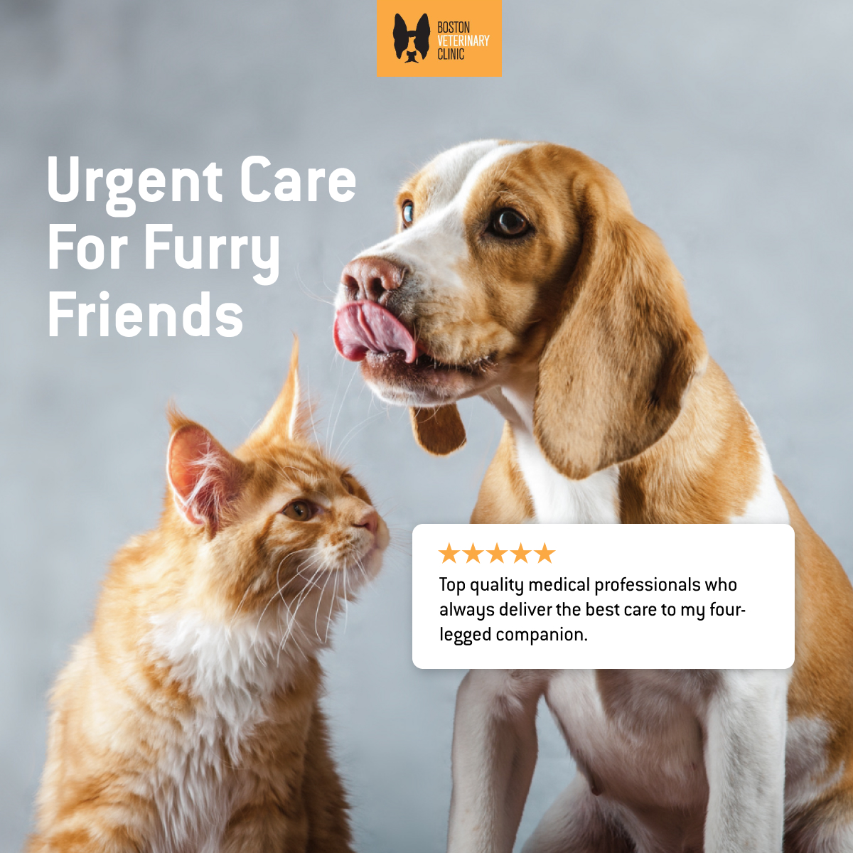 BVC-Urgent Care-Pets-1200x1200