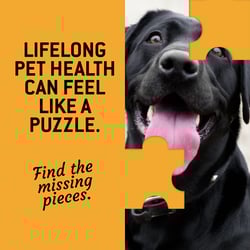 Evergreen - Puzzle Ad Variation A - Single Image - June 2025 - 1200x1200