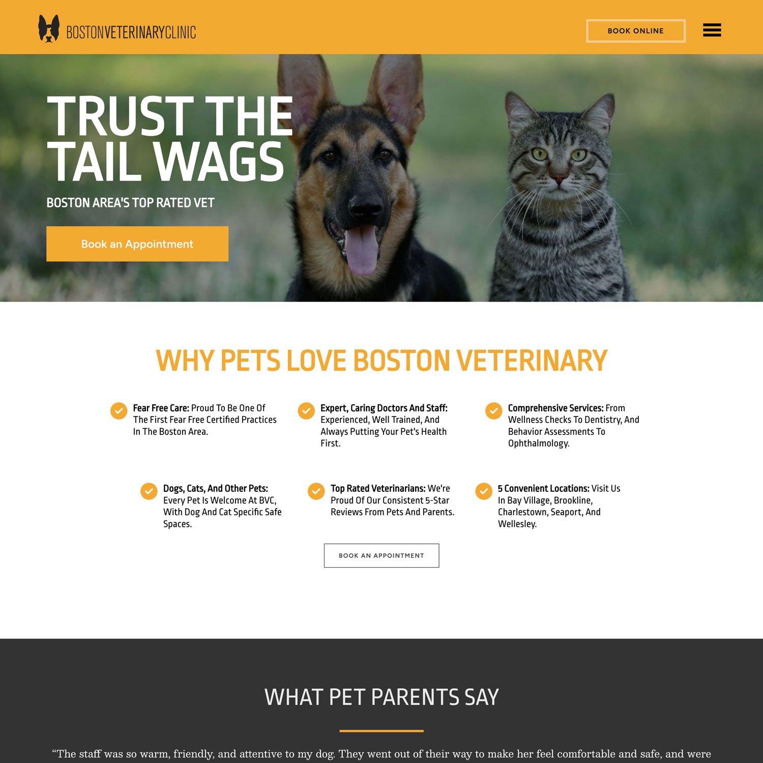 bvc-landing-page-sample