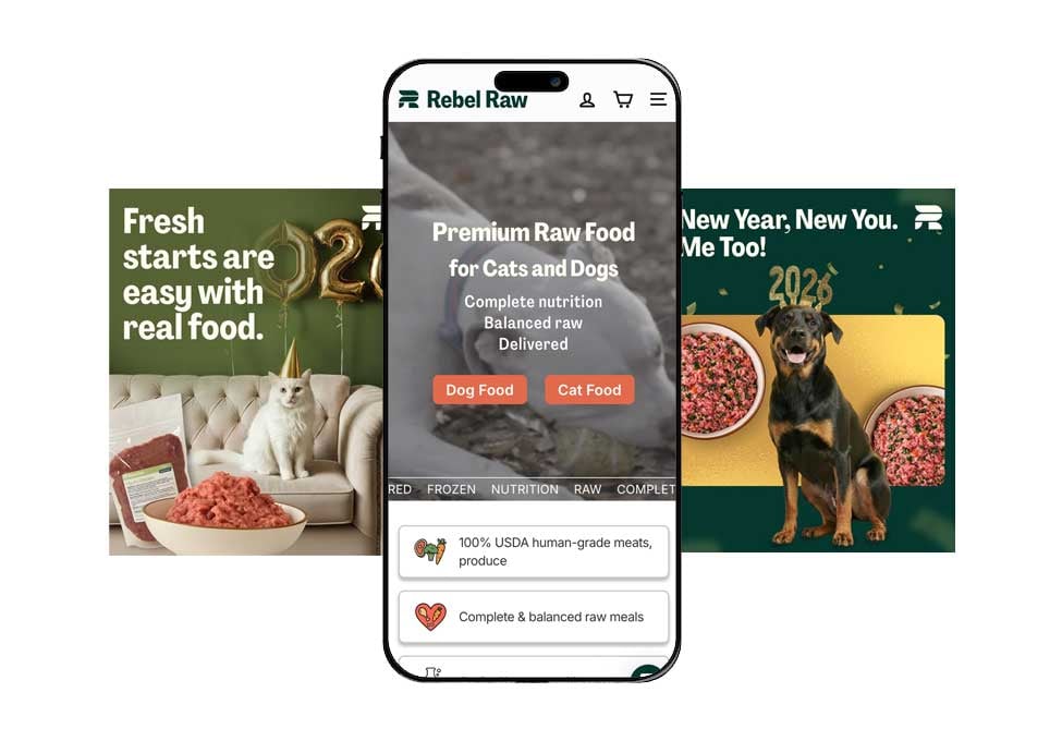 rebel-raw-case-study-image