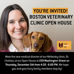 wellesley square ad